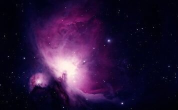 Co zalicza się do nauk społecznych?