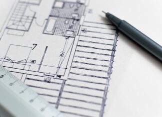 Czym się różni budowa anatomiczna od morfologicznej?
